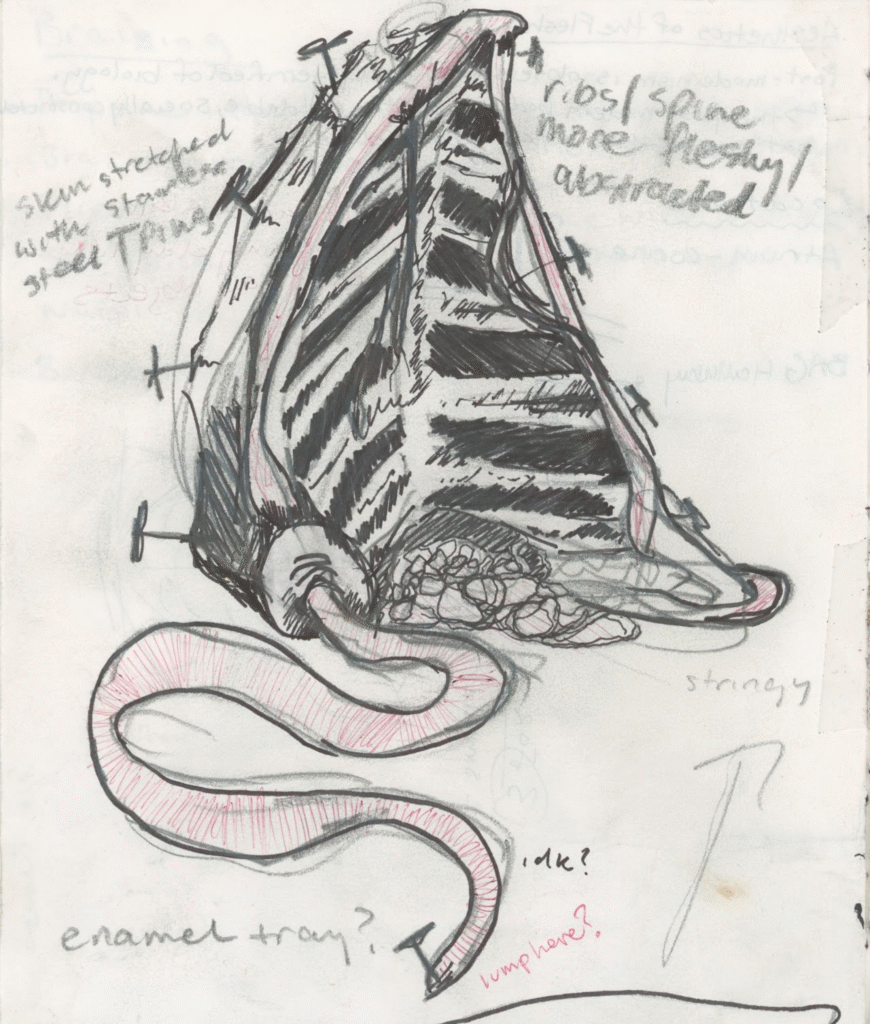 Initial sketch and brainstorming