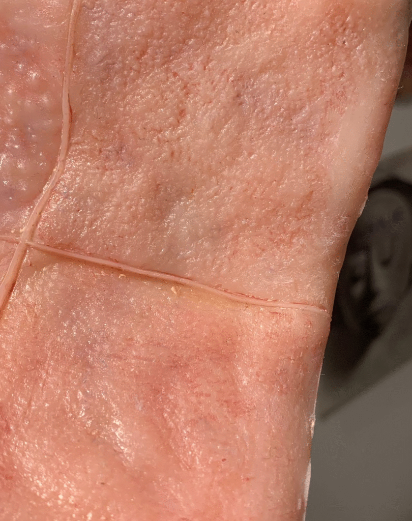 Material, texture, and color experimentation

