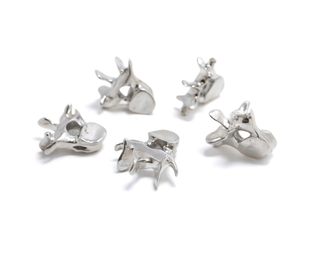 Vertebrae , lost wax cast silver, each approx. 12 x 9 x 6 mm