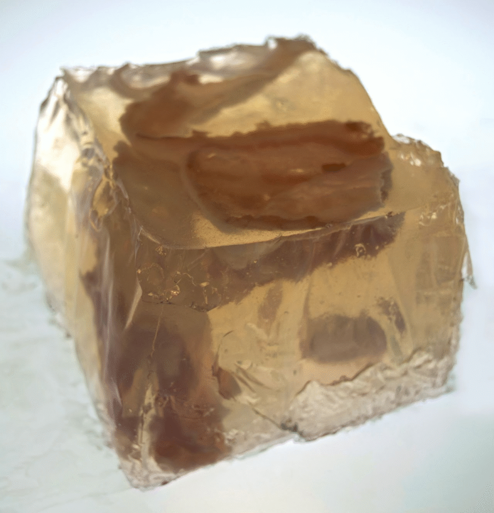 Self Portrait, gelatin, bacon, 4 x 4 x 4 in.