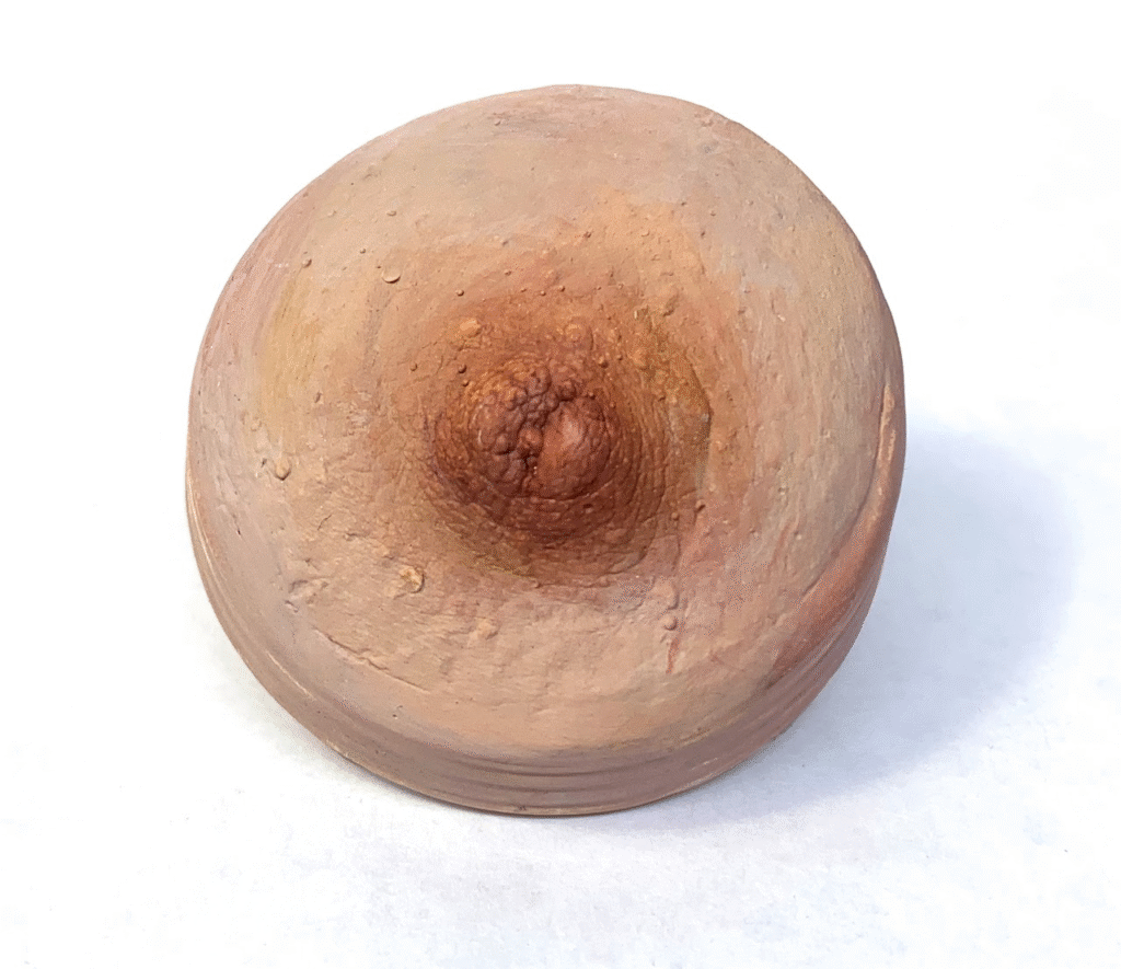 Nipple 1, plaster, acrylic 2.5 x 2.5 x .5 in