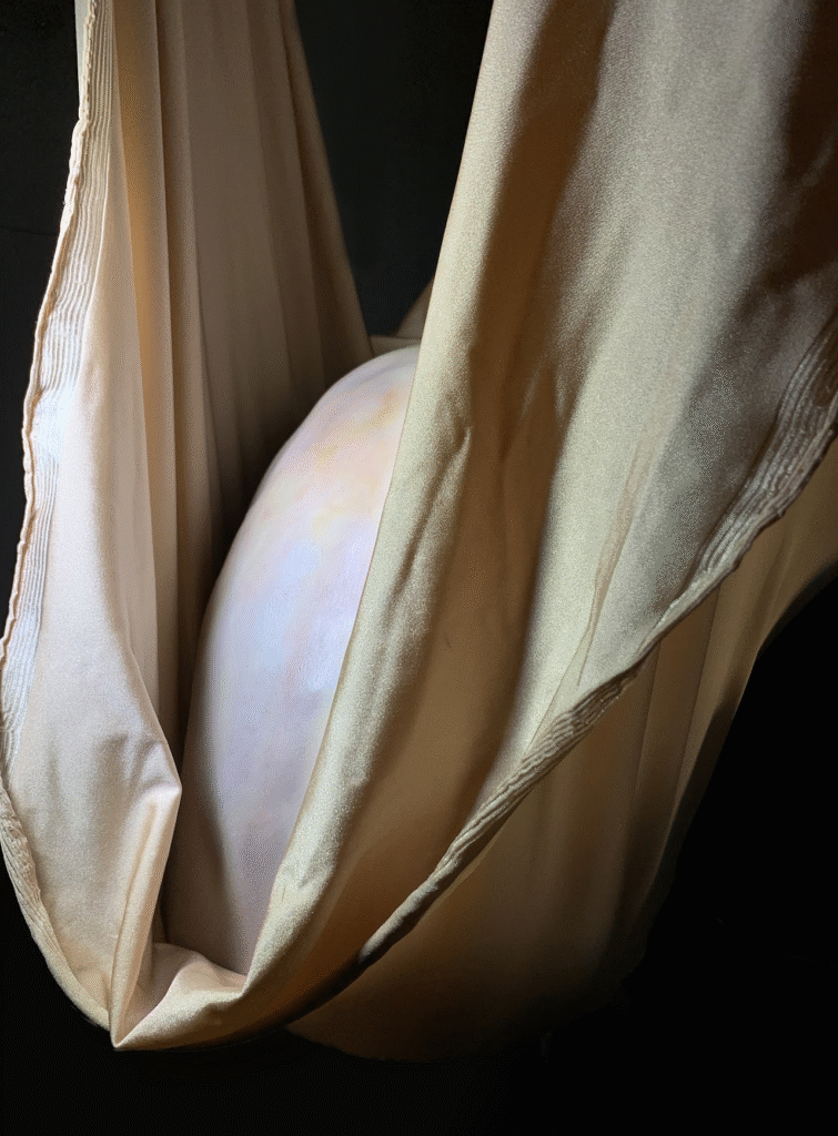 Dorsal, plaster, acrylic, fabric, dimensions variable